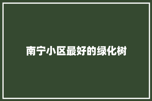 南宁小区最好的绿化树