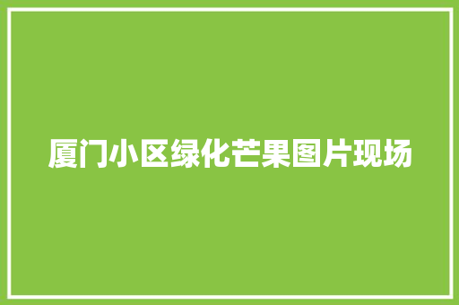 厦门小区绿化芒果图片现场