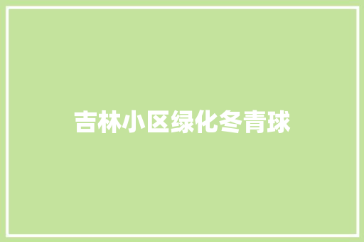吉林小区绿化冬青球