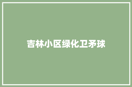 吉林小区绿化卫矛球