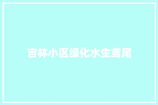 吉林小区绿化水生鸢尾