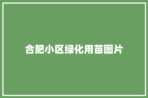 合肥小区绿化用苗图片