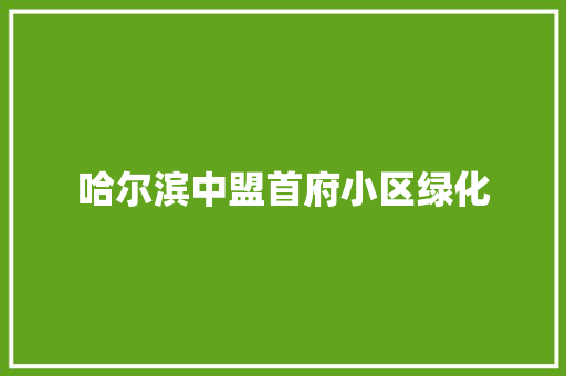 哈尔滨中盟首府小区绿化
