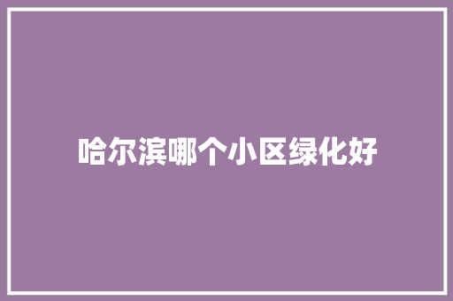 哈尔滨哪个小区绿化好