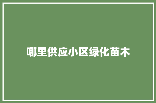 哪里供应小区绿化苗木