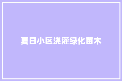 夏日小区浇灌绿化苗木