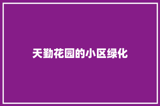天勤花园的小区绿化