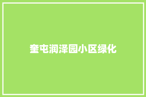 奎屯润泽园小区绿化