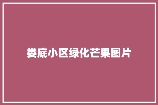 娄底小区绿化芒果图片