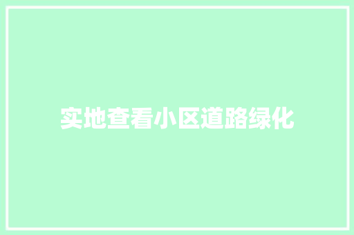 实地查看小区道路绿化