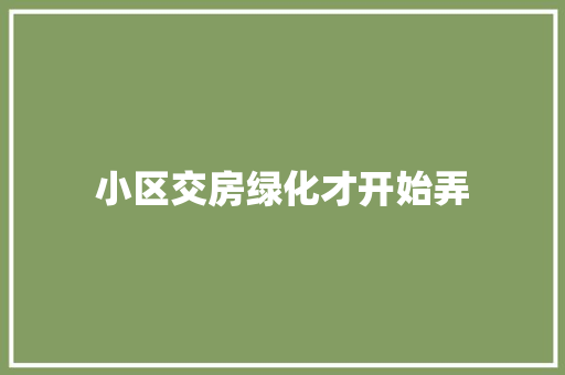 小区交房绿化才开始弄