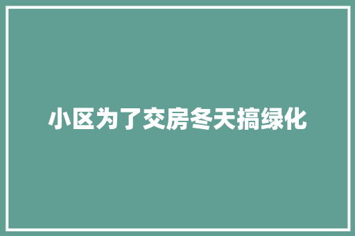 小区为了交房冬天搞绿化